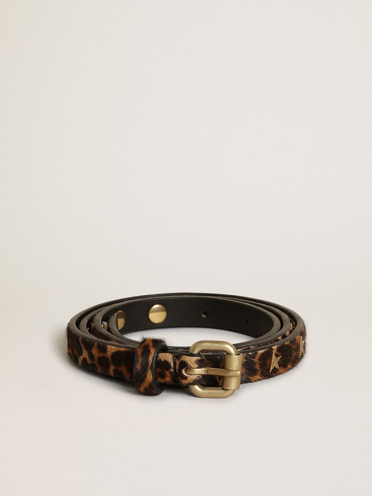 Women's belt in black and brown leopard print pony skin with studs| Golden Goose